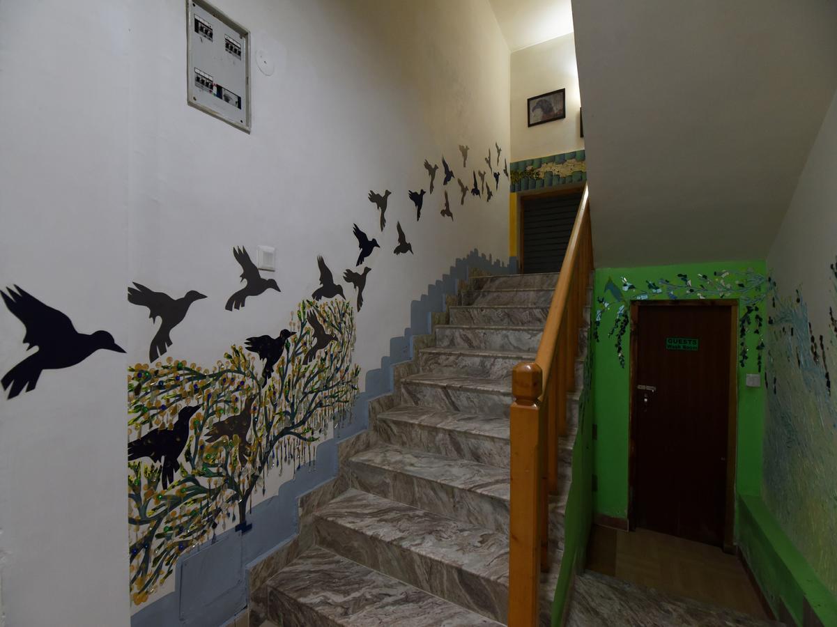 Mount Ville Cottages Manāli Dış mekan fotoğraf